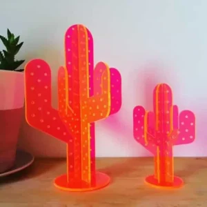 Jewellery Stands^Haus Of Dizzy Cactus Jewellery Stand